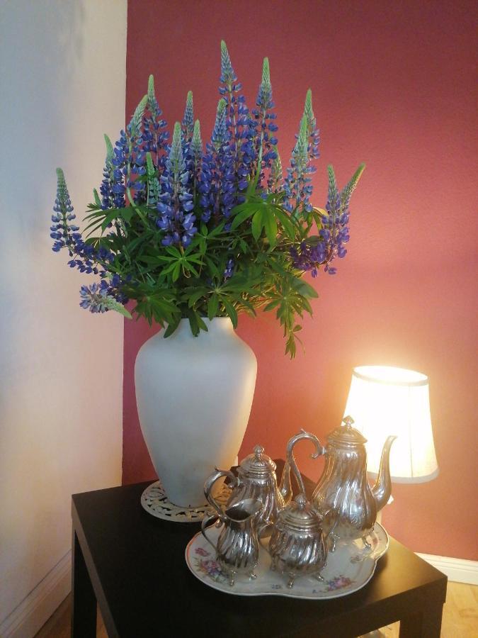 Bed&Breakfast Wagner "Im Alten Pfarrhaus" Neuruppin Bagian luar foto